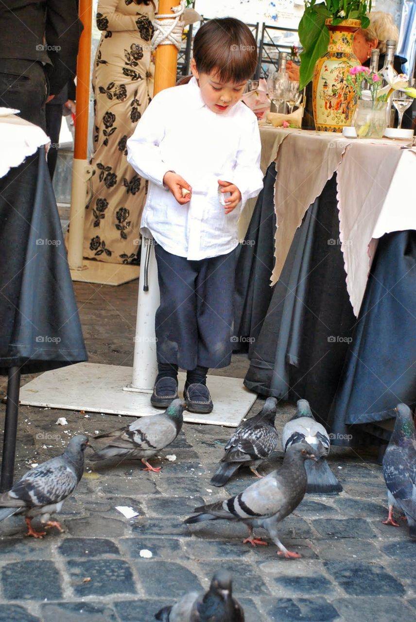 Boy and birds . A little boy feeds bread to pigeons