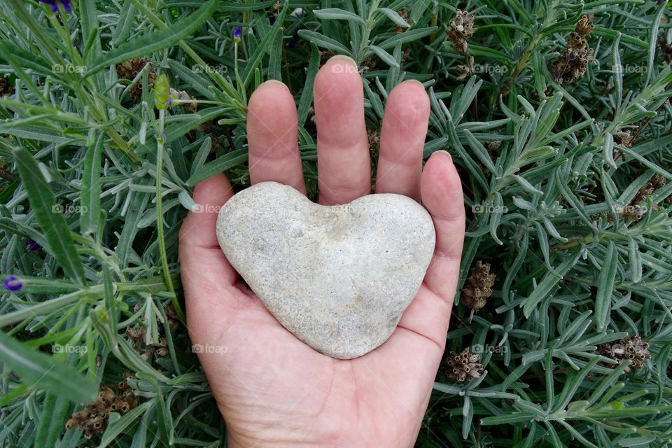 I love gardening and spending time in my garden. The stone heart represent my love for my garden.