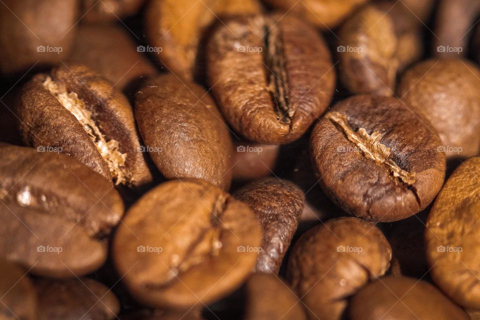 The coffee beans