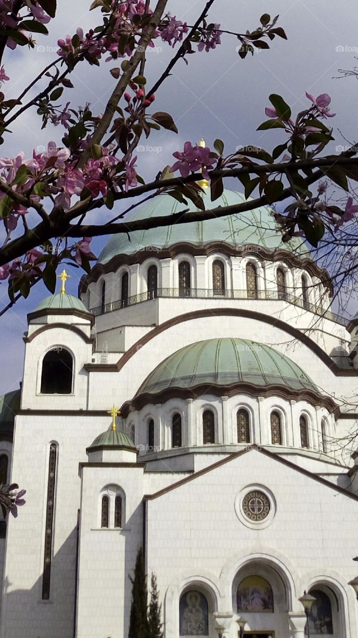 Teple Sv. Sava,Beograd