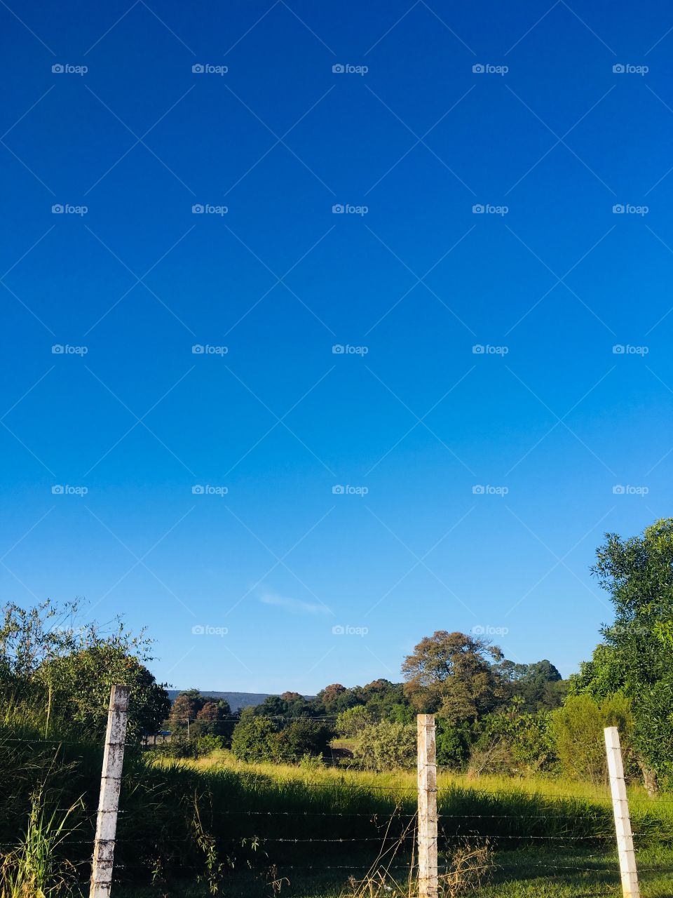 🗾Um #céu azul totalmente inspirador! 
Como não contemplar? 
🙌🏻
#natureza #paisagem #fotografia #mobgrafia #inspirador #sky #landscapes