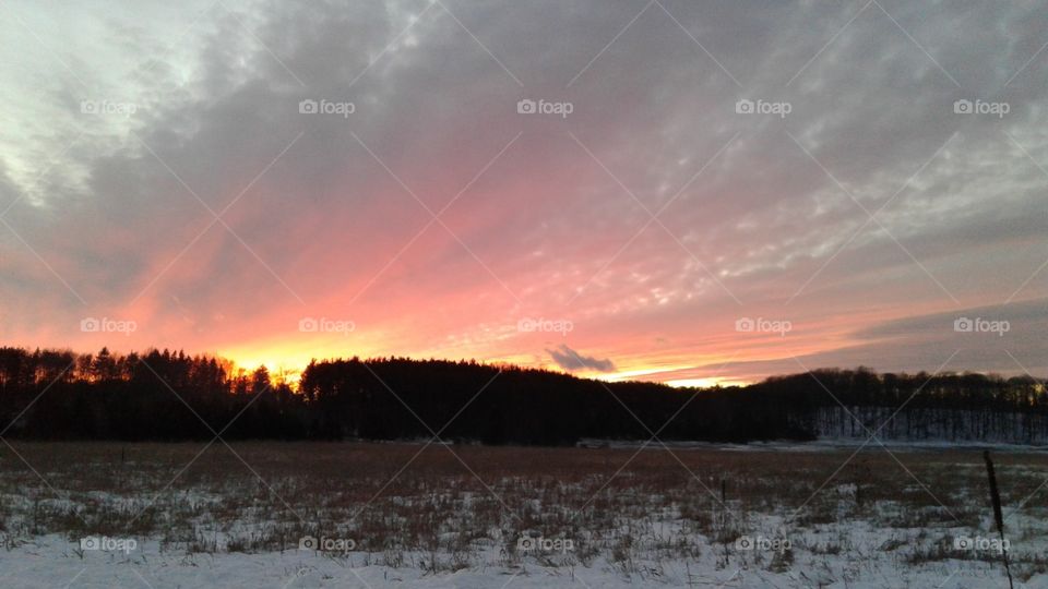 Northern Michigan 