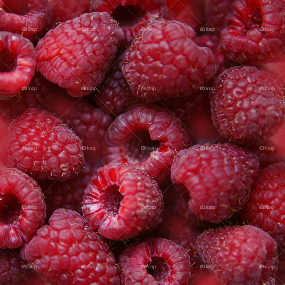 Full frame of rasberries