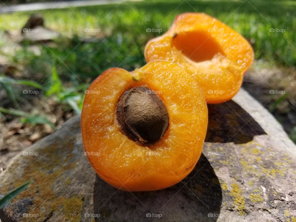 An Apricot sliced in half with the seed exposed sitting on a rock outside on a beautiful bright sunny summer day