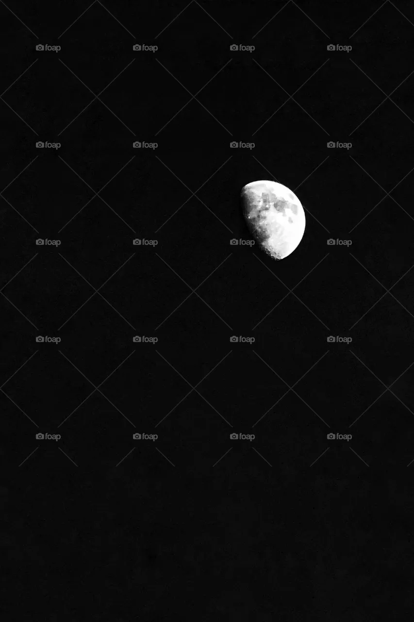 The Moon