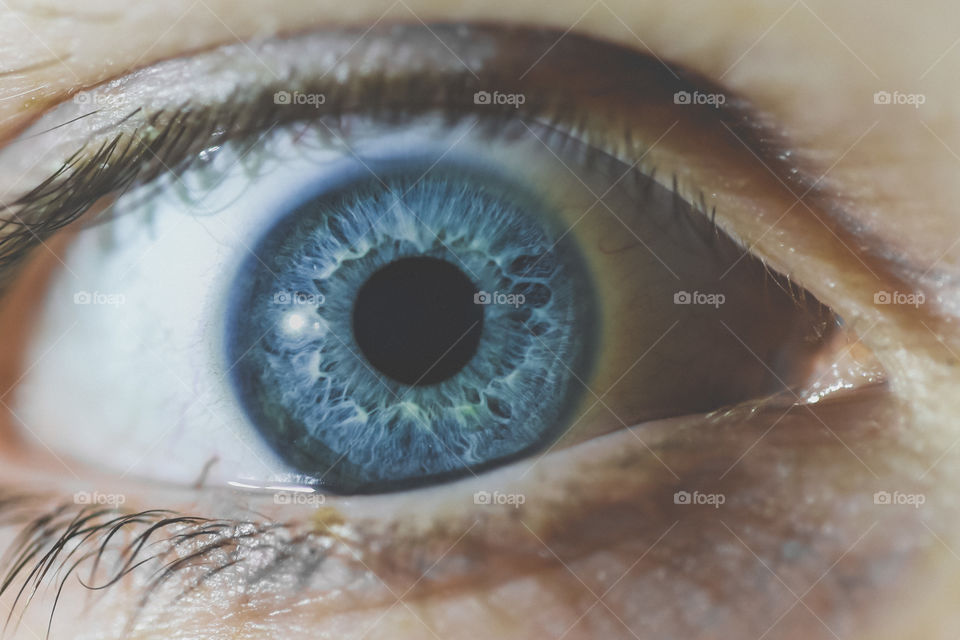 Beautiful and detailed close-up of a blue or turquoise eye