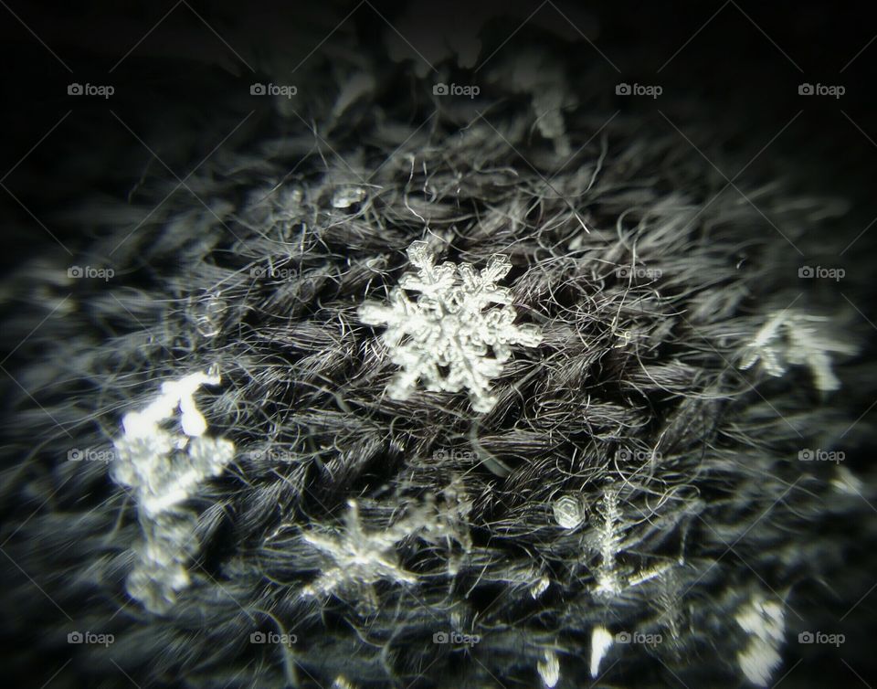 Snowflake on my scarf. Snowflake on my scarf. Macro. Black and white photo