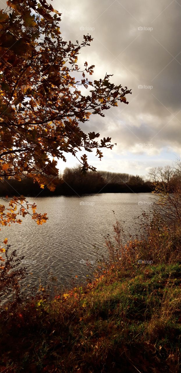 étang oisy le verger