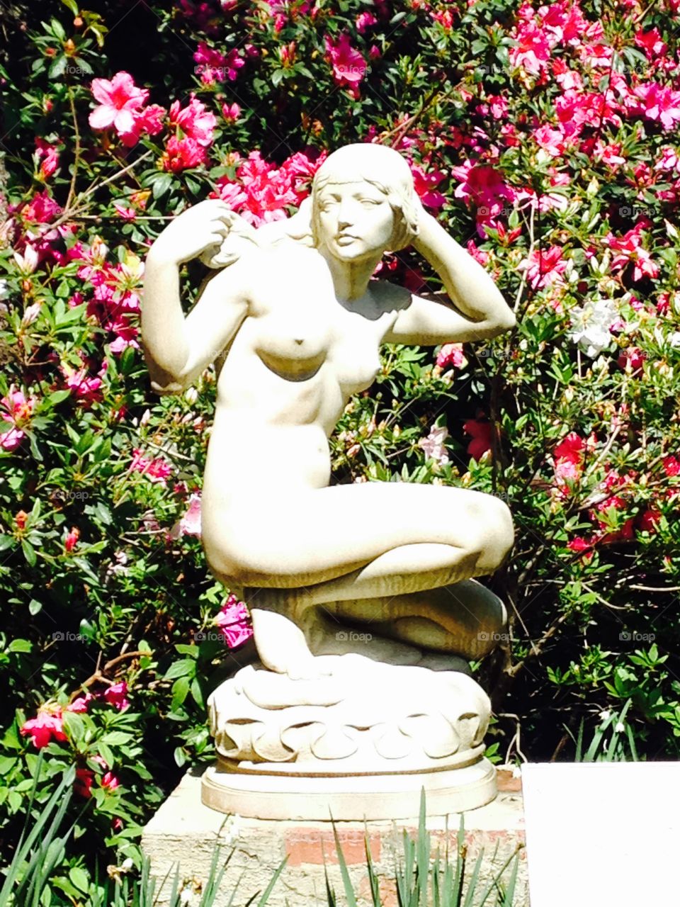 Crouching woman, pink azaleas