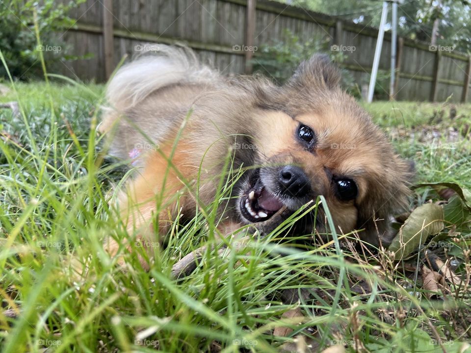 Having fun in the sun 