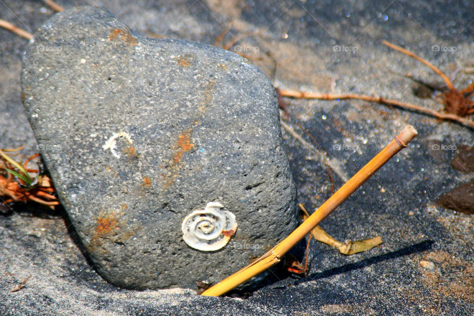 I found this on a beach in Bali.