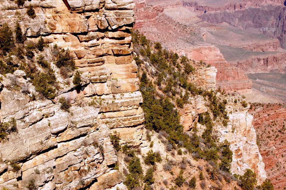 grand canyon group1 by refocusphoto