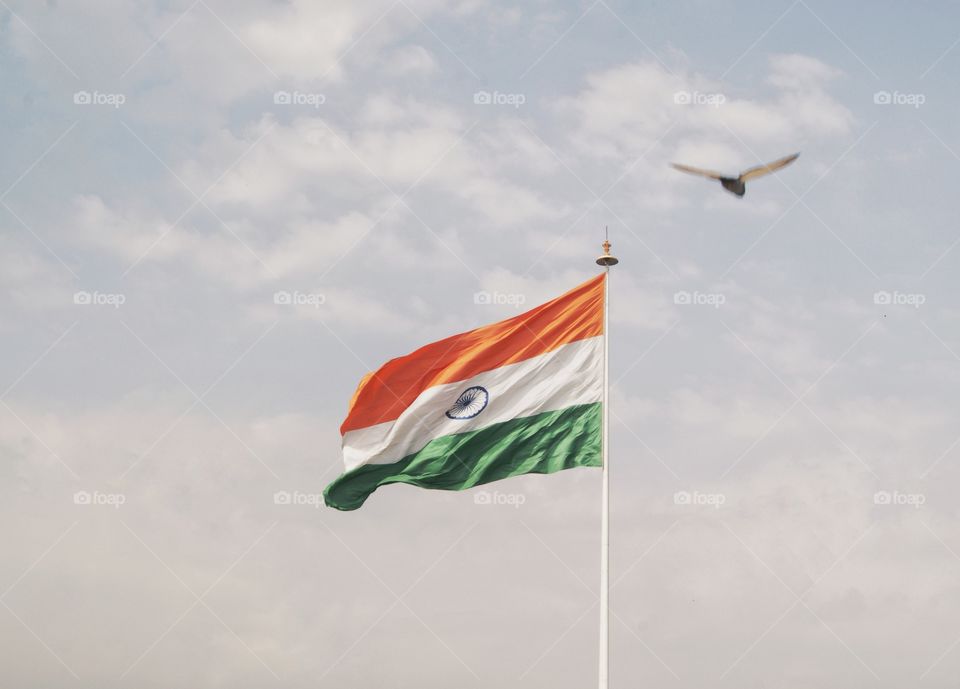 Indian Flag In Delhi.