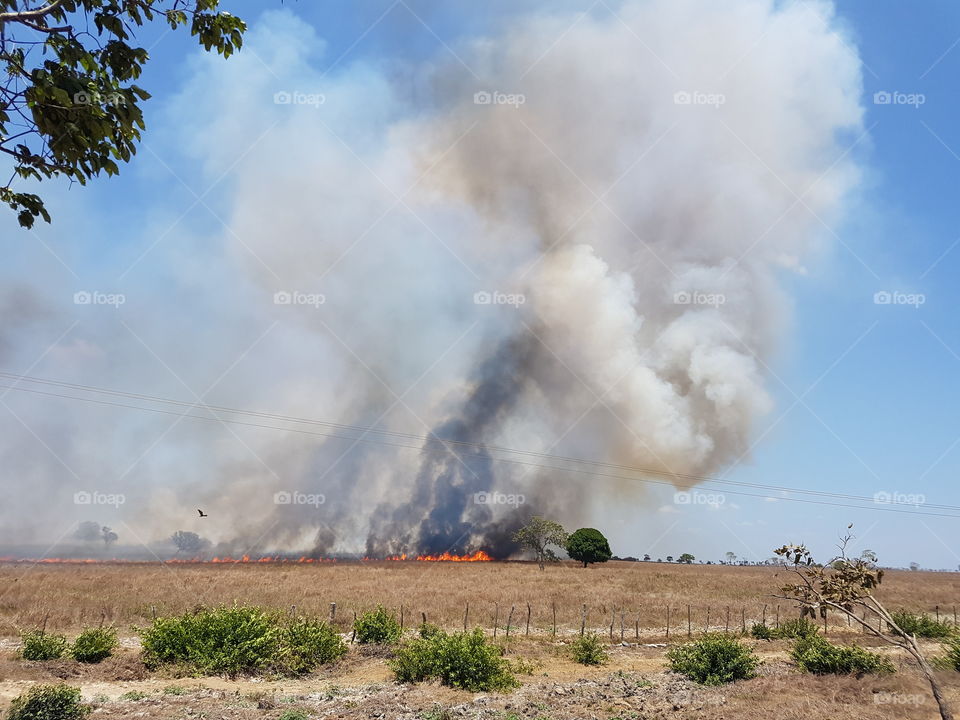 queimada Maranhão
