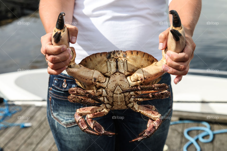 A human holding crab