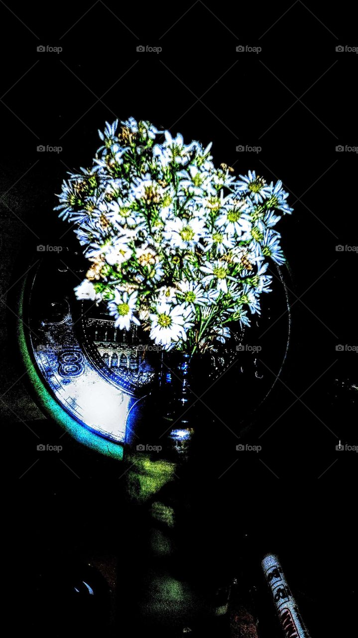 Decorative flowers in the dark.