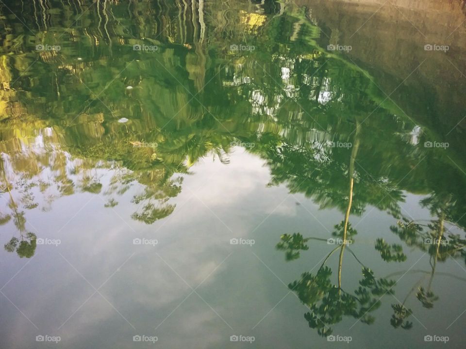 O reflexo impecável.