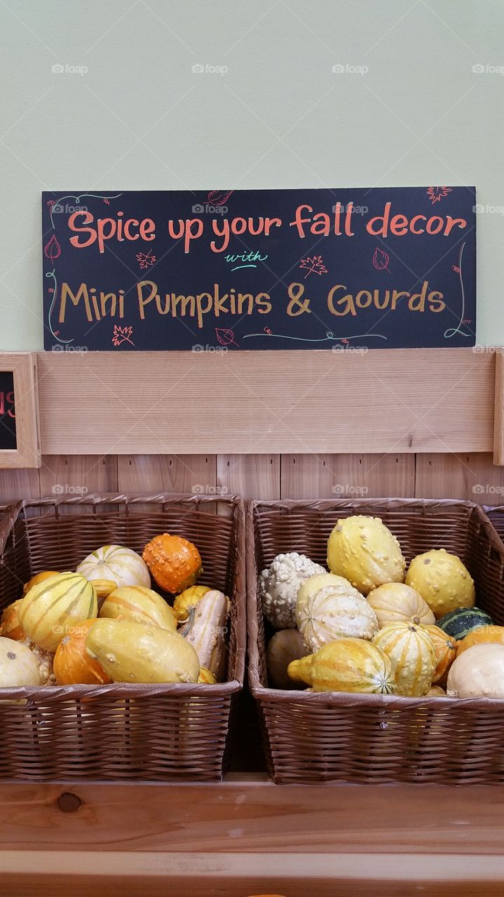 Mini Pumpkins & Gourds