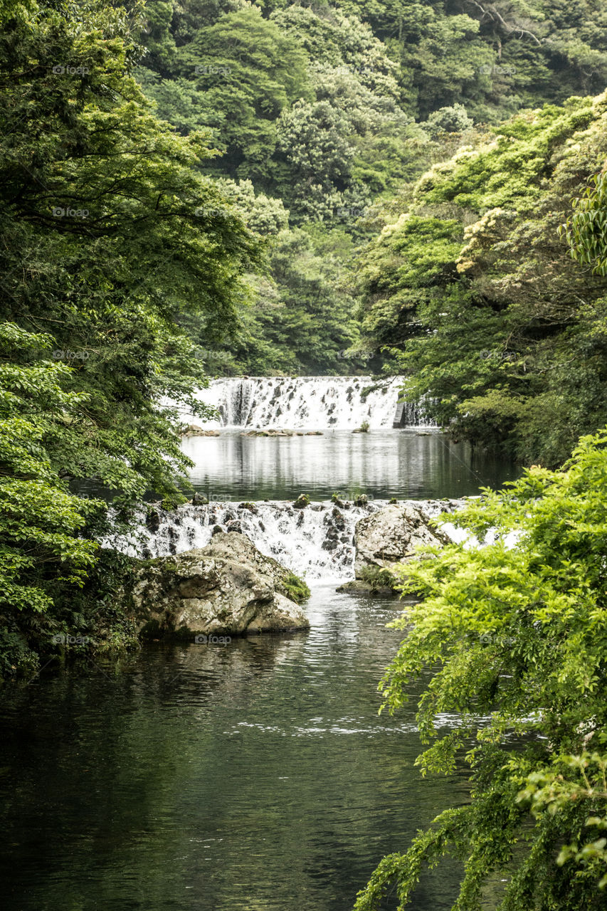 Waterfall in the forest