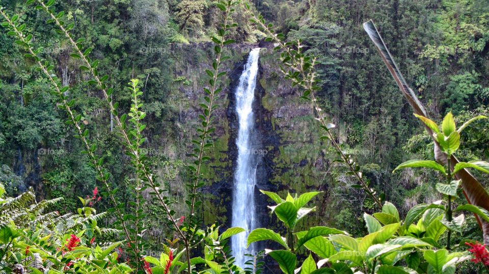 Beautiful waterfalls