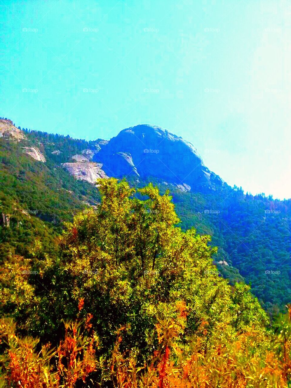 Ermosa roca en la montaña
