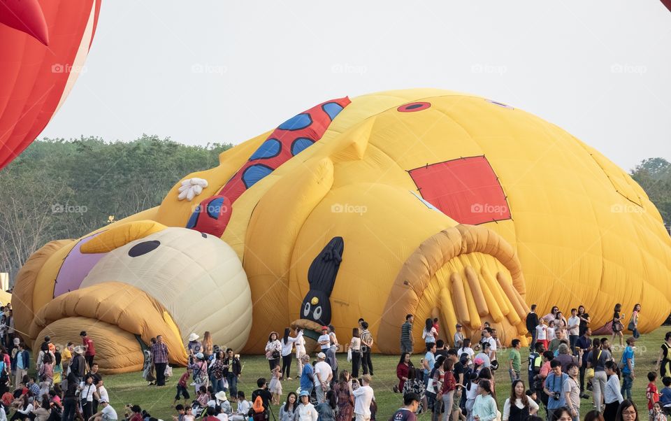 SinghaPark Chiangrai International Balloon Fiesta 2019 , Thailand