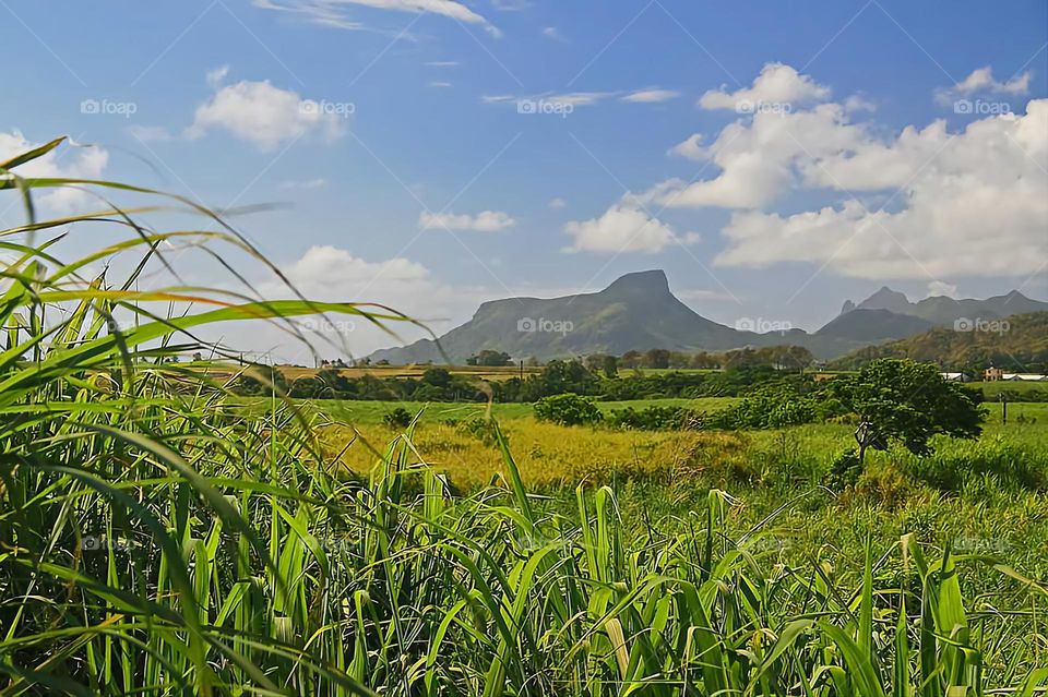 Mountain view from a field.!