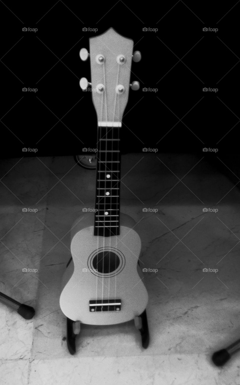 Small vertical guitar in monochrome