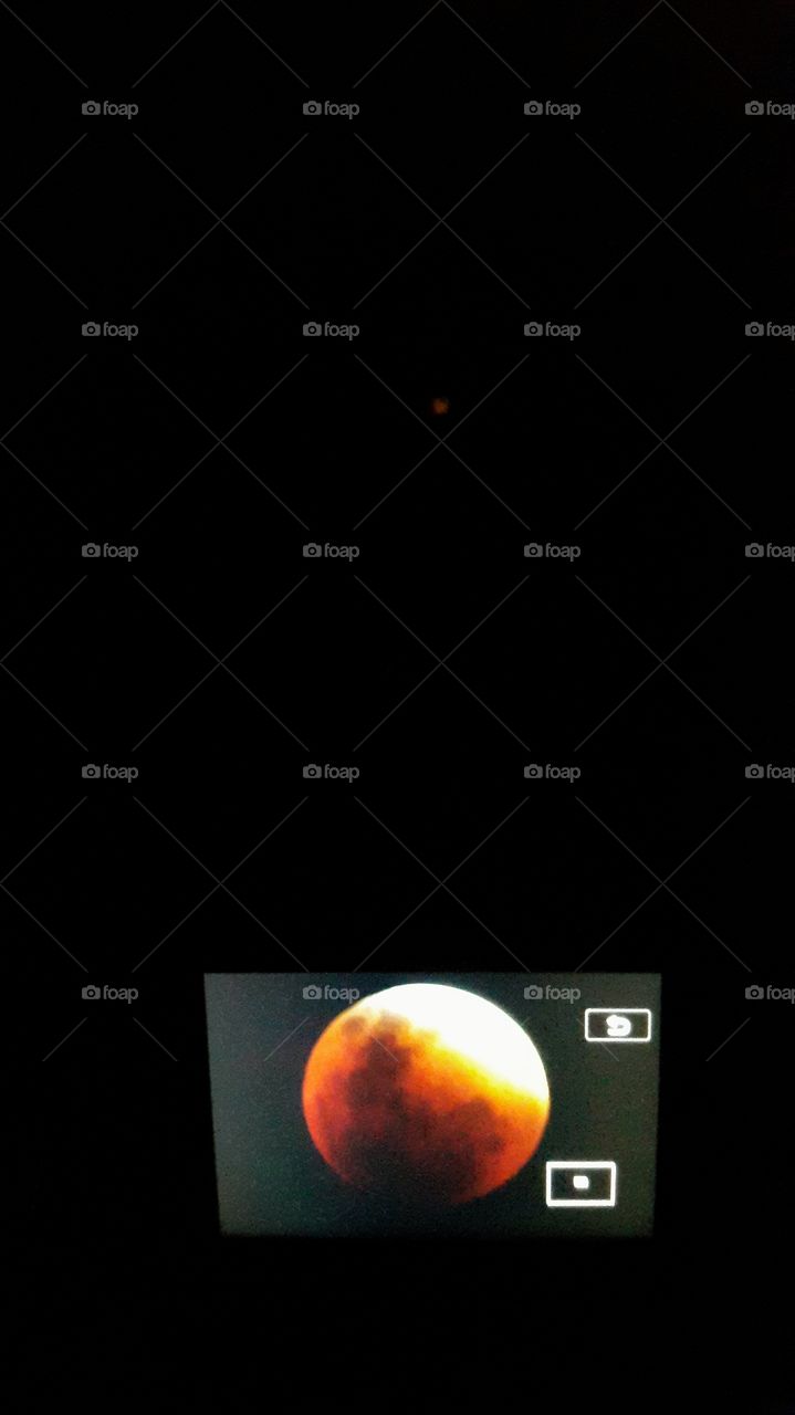 red moon. photographing the moon