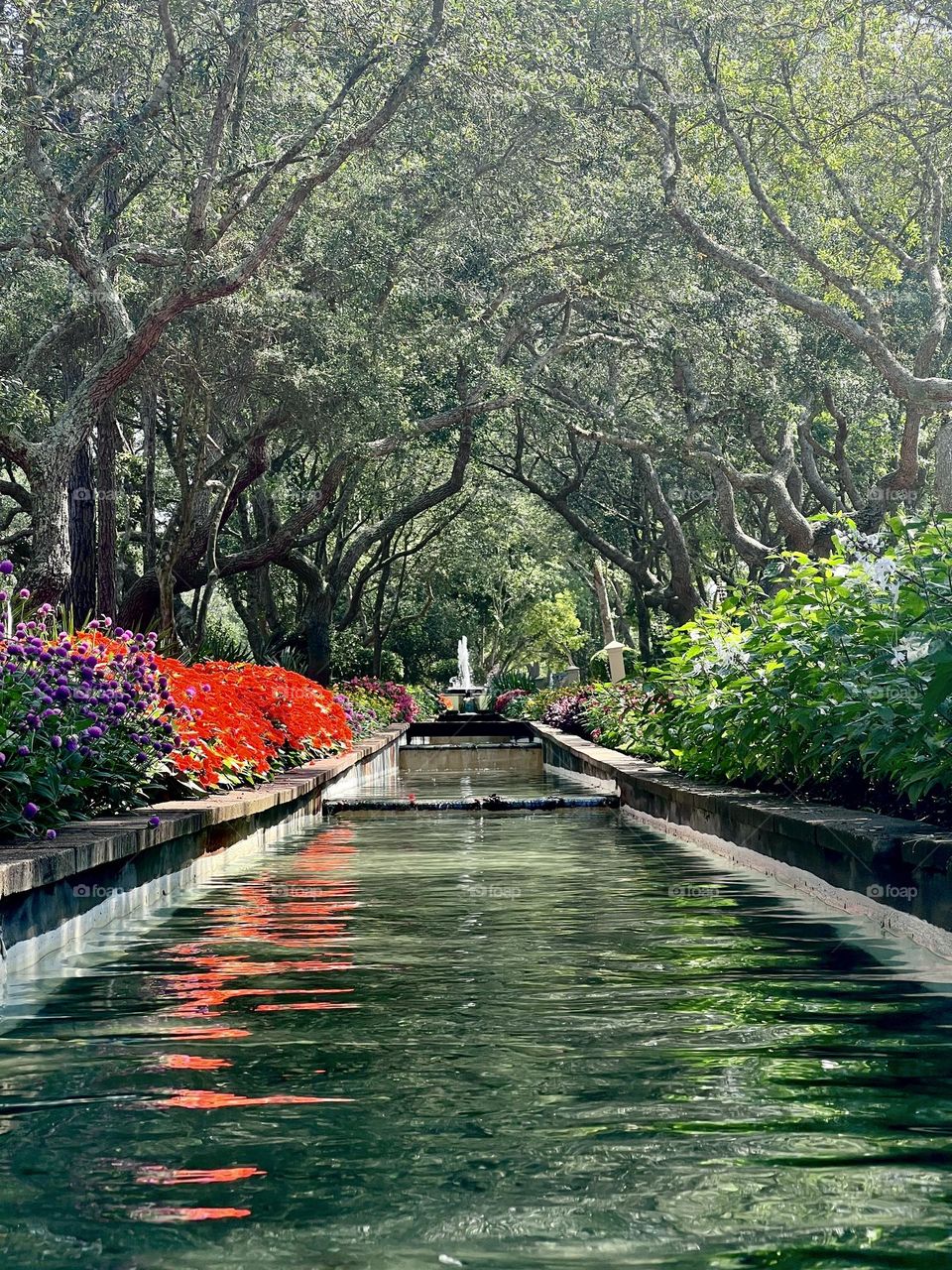 Park fountain bubbling into small canal with beautiful blooming flowers on each side. A canopy of graceful trees bend to provide shade.