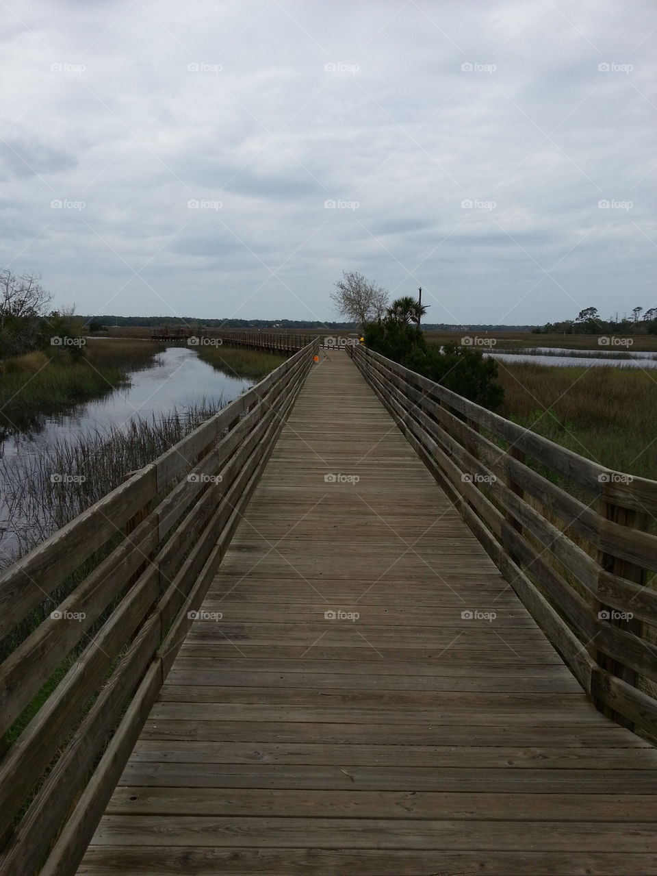 Boardwalk 