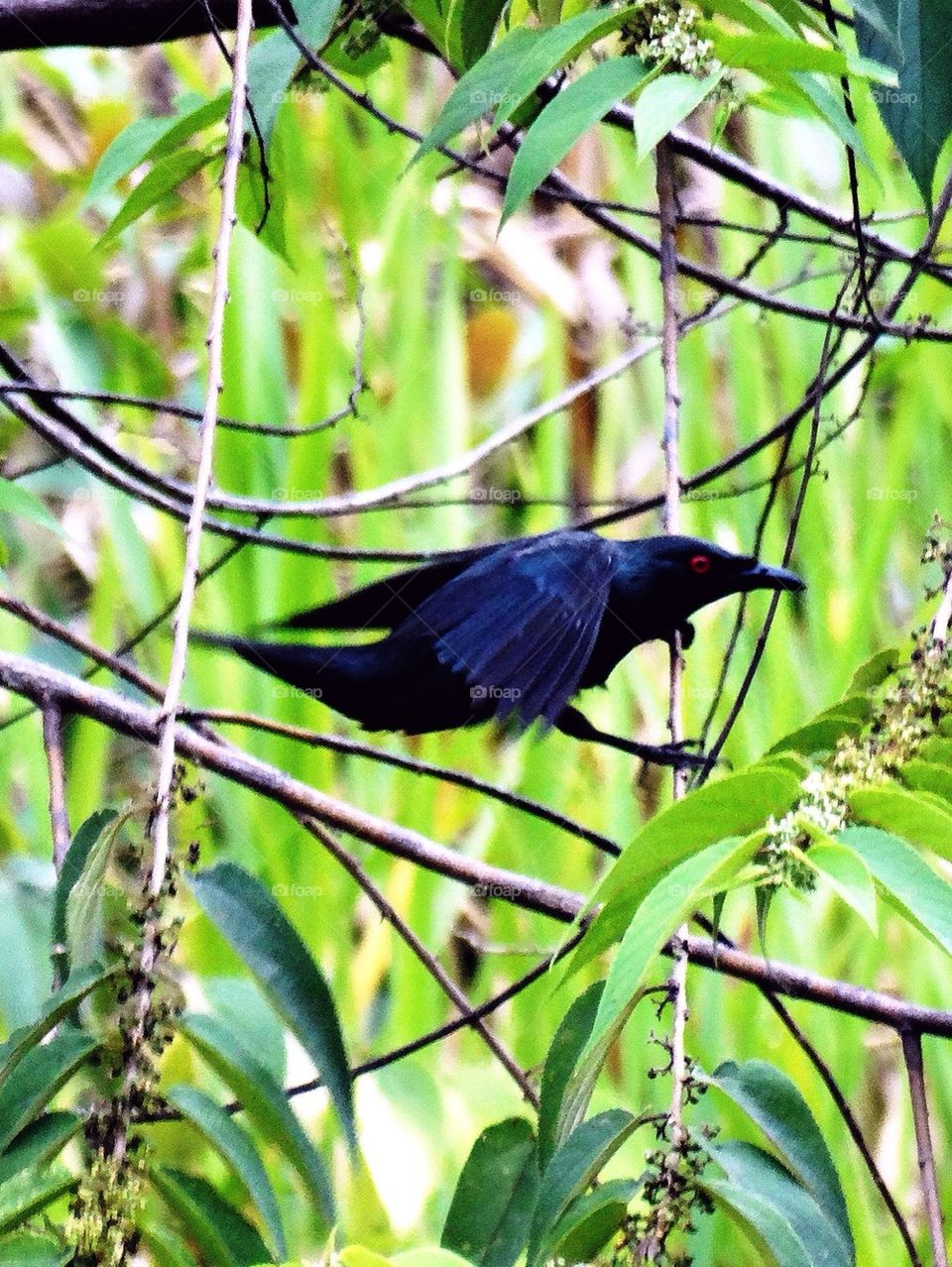 Bird lands on a tree