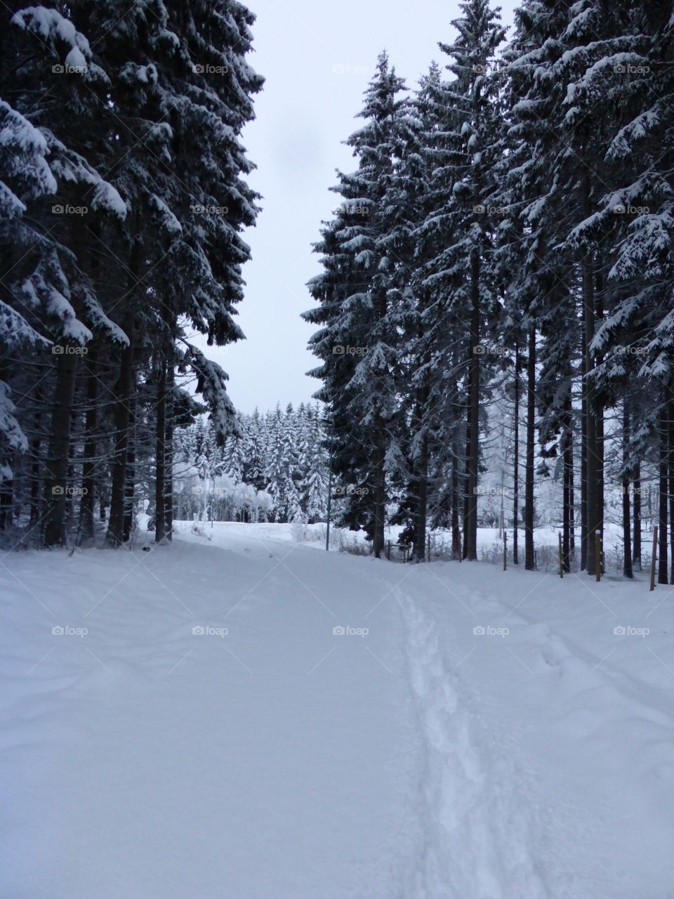 Snowcowered  walkway