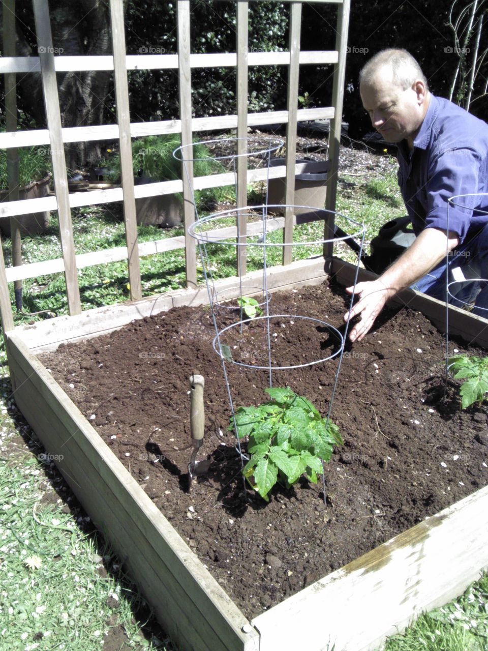 planting garden. Spring 