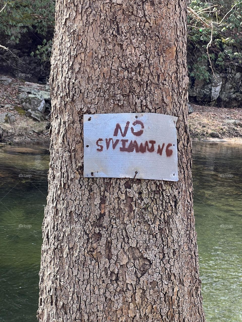 No swimming sign in woods at river 