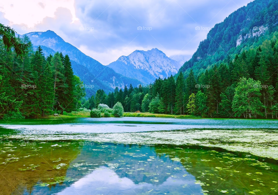 Natural lake in European alps