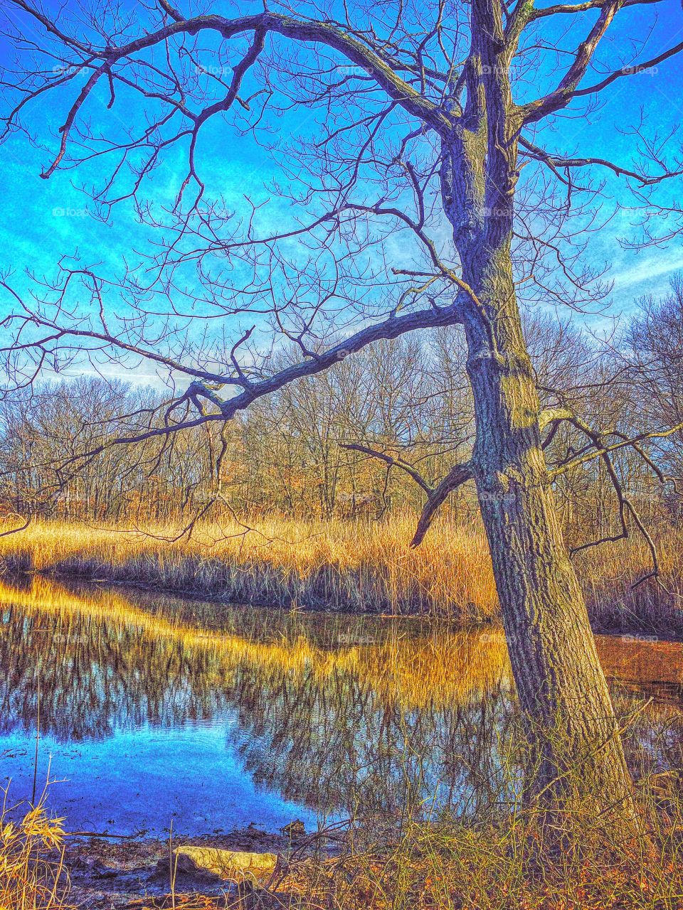 Indian River..... The calm before the nor'easter! 