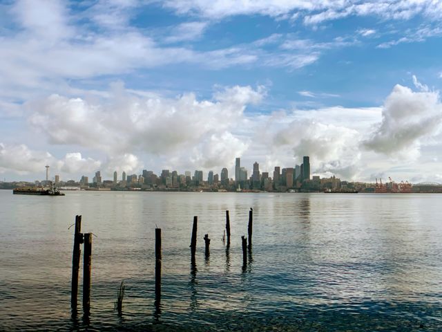 City view