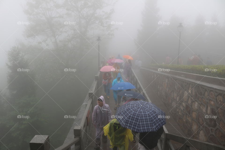 zhangjiajie National Forest Park, Hunan, China 