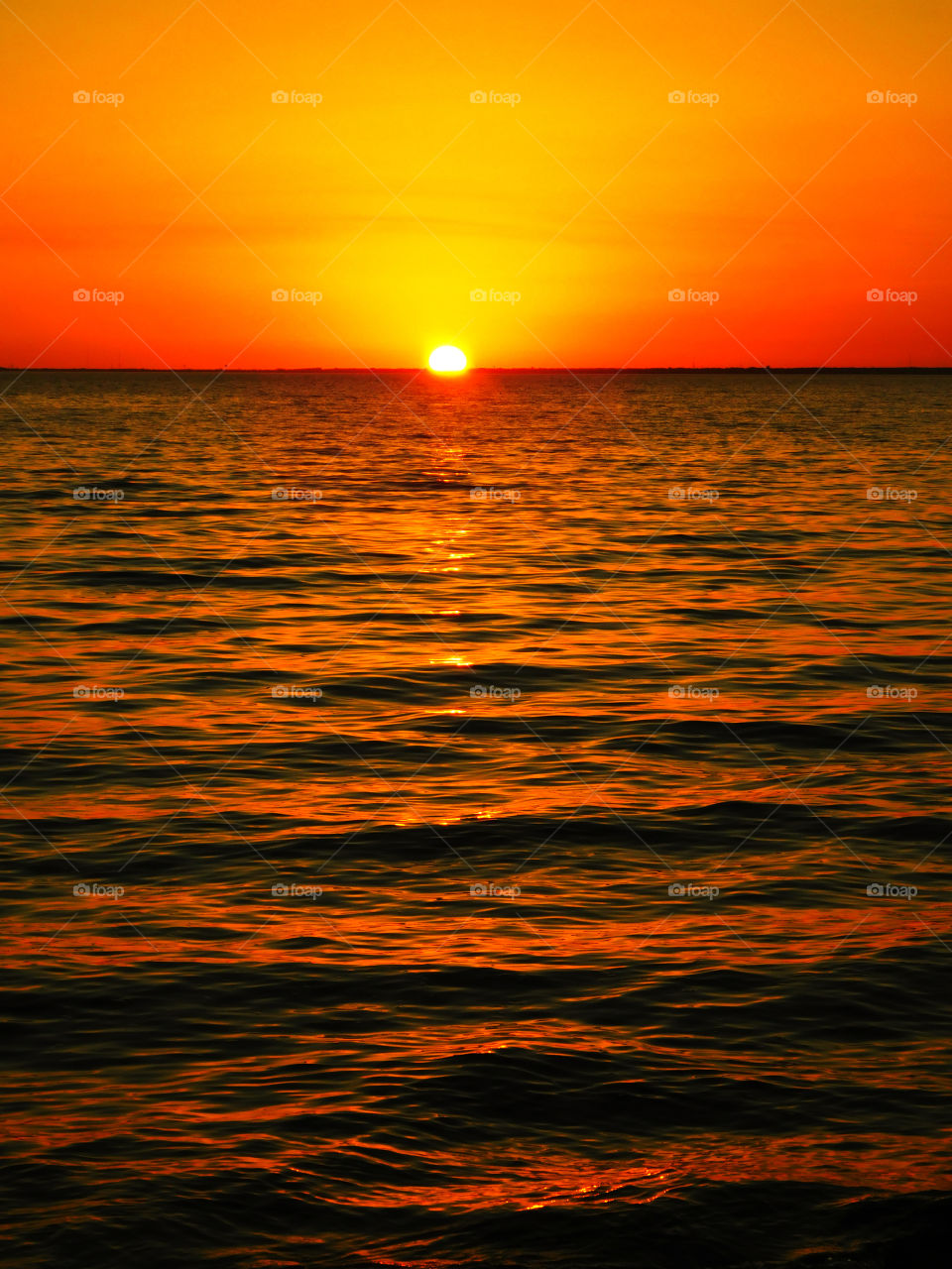 Descending Delight!
The sunset over the Choctahatchee Bay as it descends below the horizon and casts a reflection across the water!