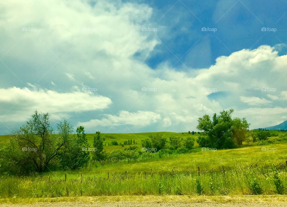 Prairie in Colorado 