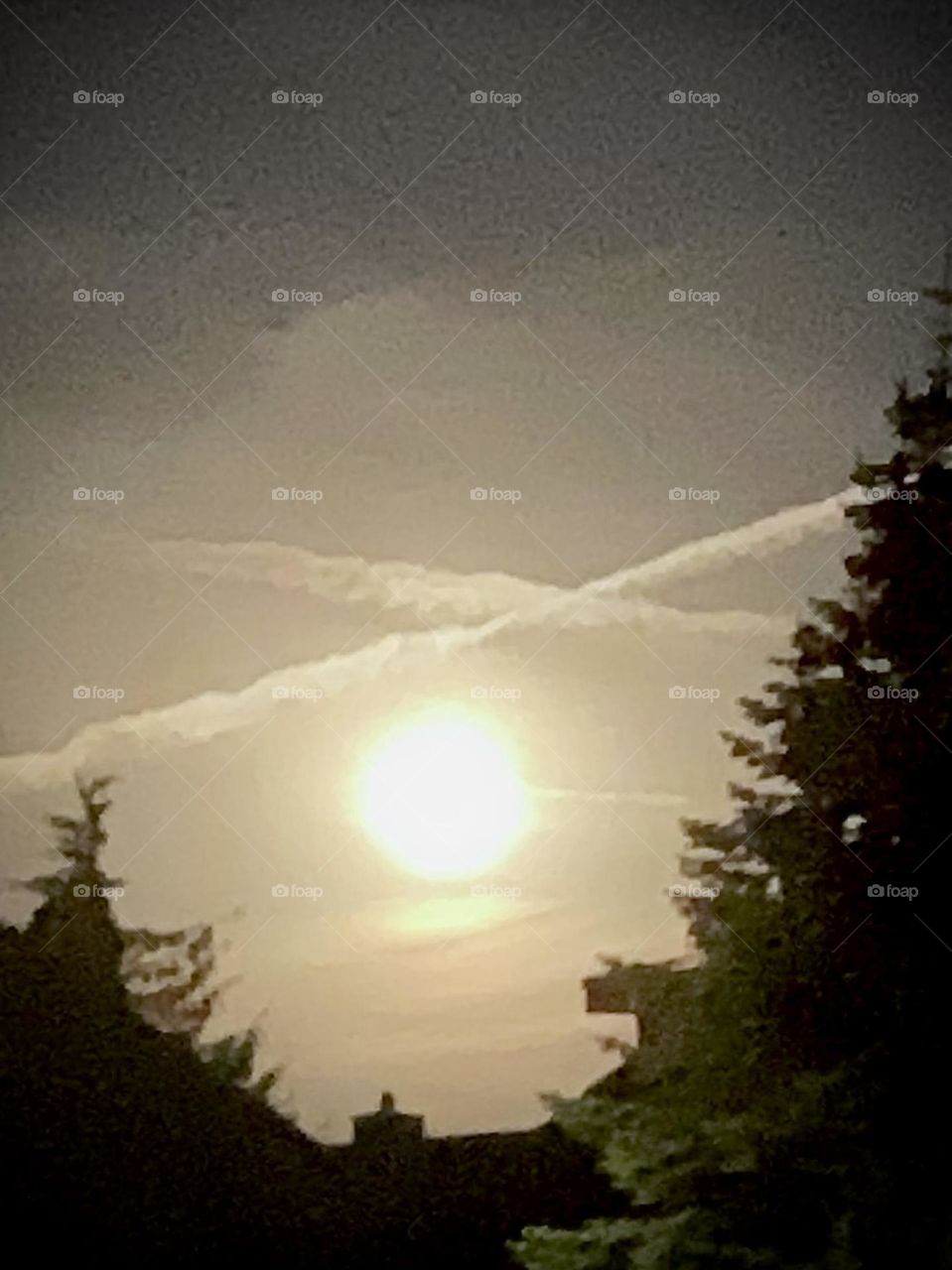 Vollmond zwischen zwei Tannen und Flugzeugwolken kreuzen sich darüber/ Full moon between two fir trees and airplane clouds cross over it