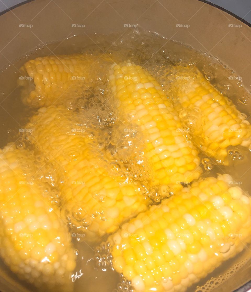 Corn 🌽 