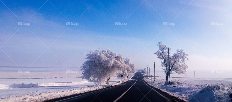 winter landscape on the road