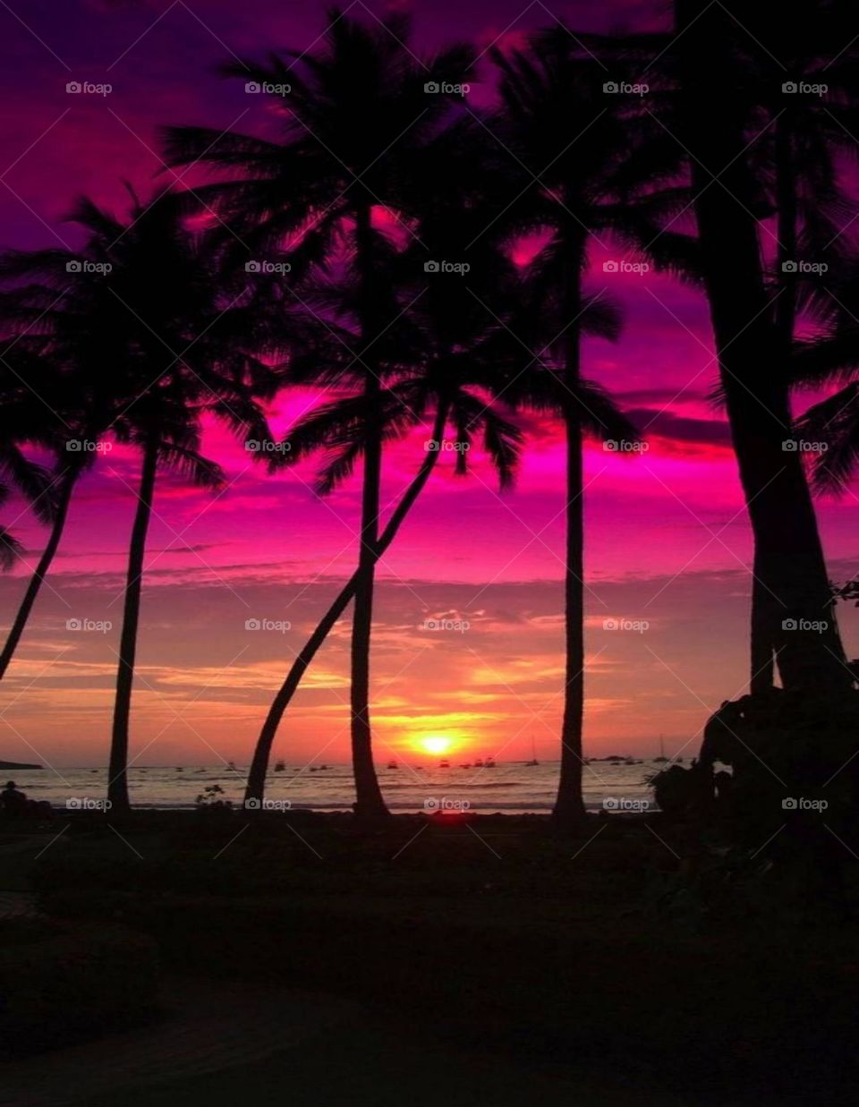 A scene that attracts attention to the sunset and the reflection of the sunset rays on the waves of the sea water with the appearance of the sunset light between the shade of the palm branches at night.