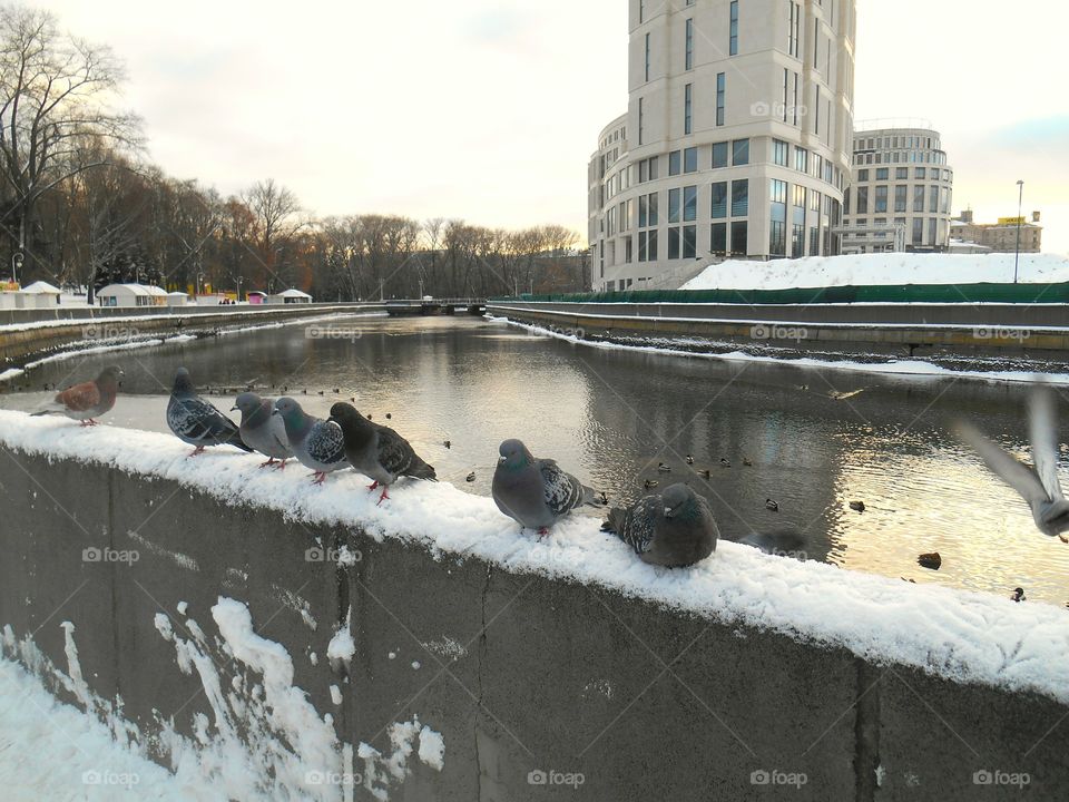 Winter, Snow, No Person, Cold, Water