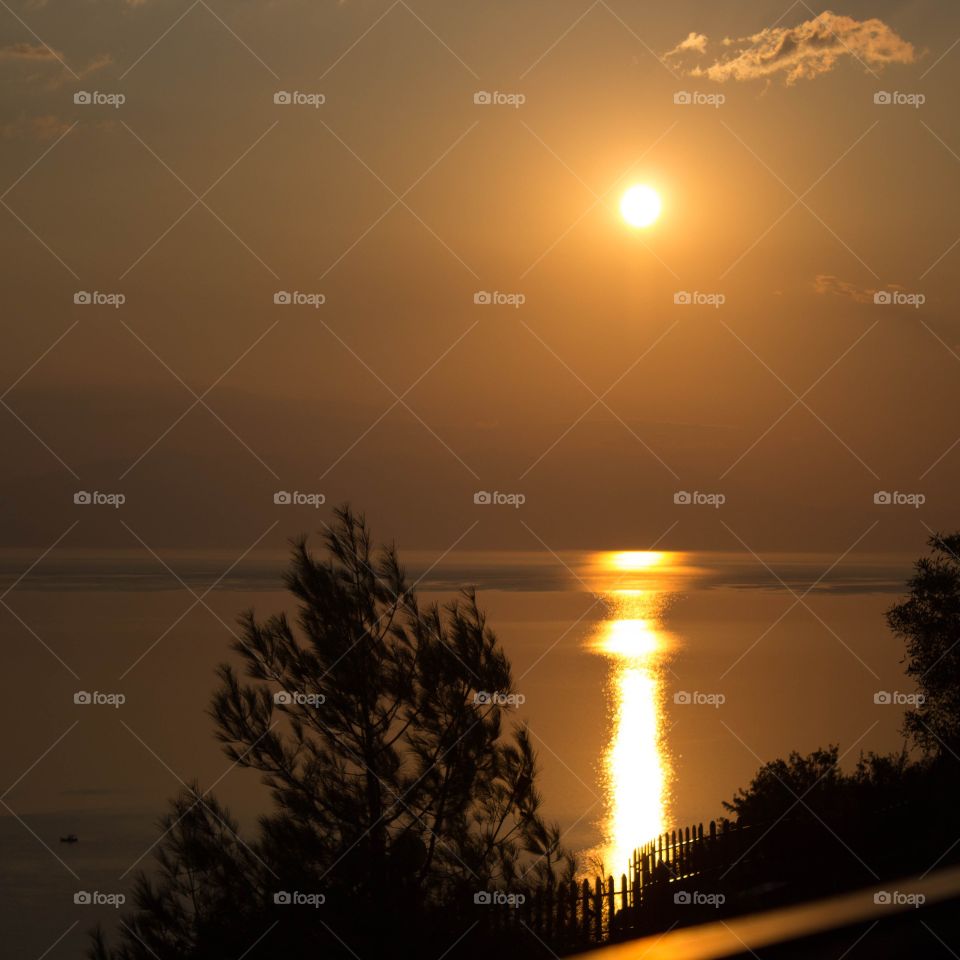 watching the sunrise from my balcony over the sea and trees