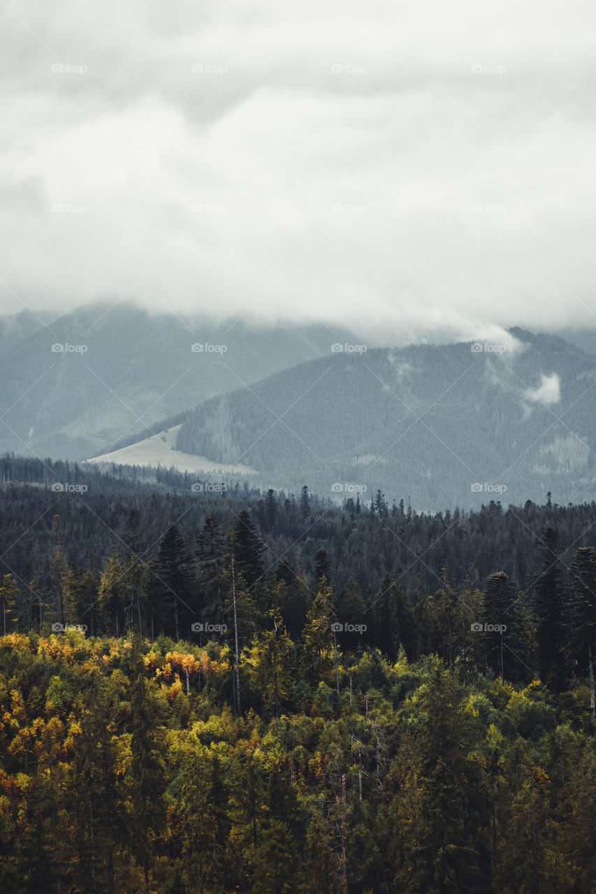 A beautiful landscape | Mountains