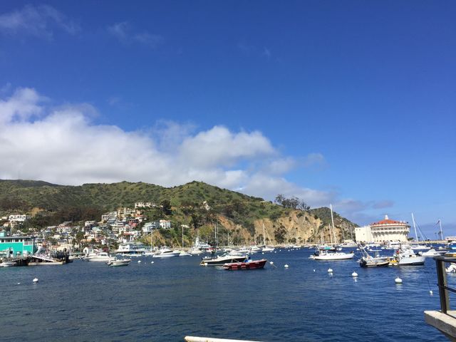 Catalina 