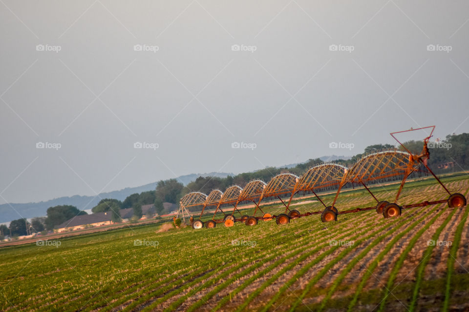 irrigation system side view